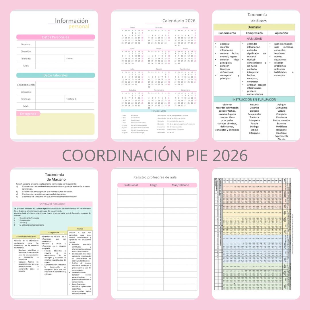 Agenda Coordinación PIE 2026 - Imagen 3