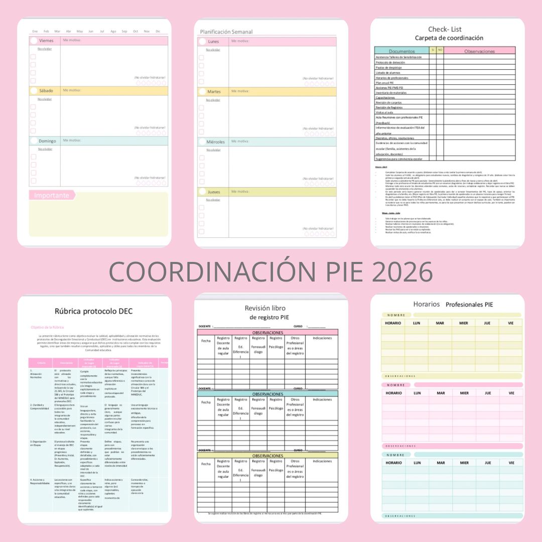 Agenda Coordinación PIE 2026 - Imagen 5