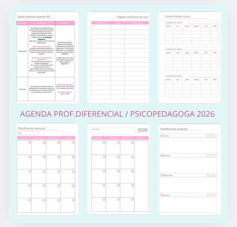 Agenda Profesora Diferencial- Psicopedagog@ adecuada para PIE - Imagen 2
